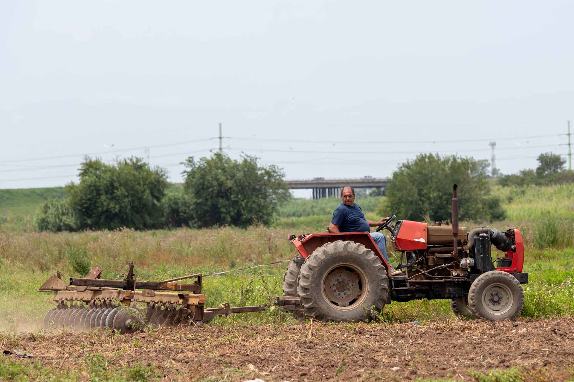 Sustainable Food Production for a Resilient Rosario | WRI Ross Center ...